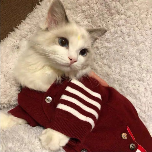 Stylish and Comfortable Clothing for Cats to Wear Every Day